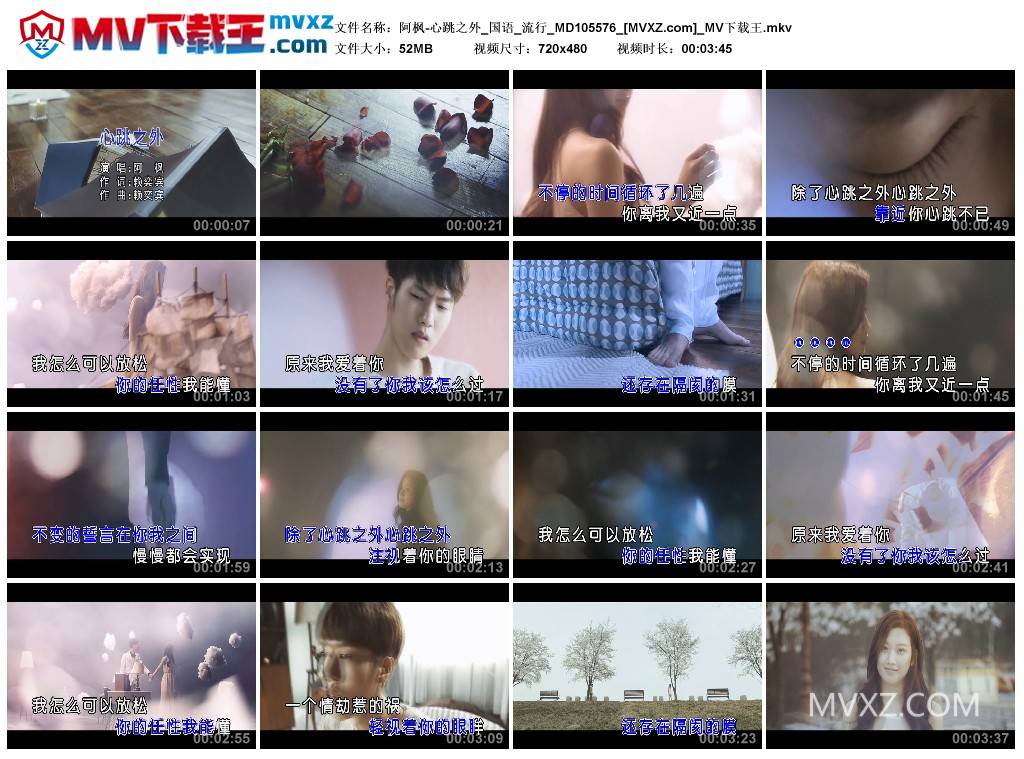 阿枫-心跳之外_国语_流行_MD105576